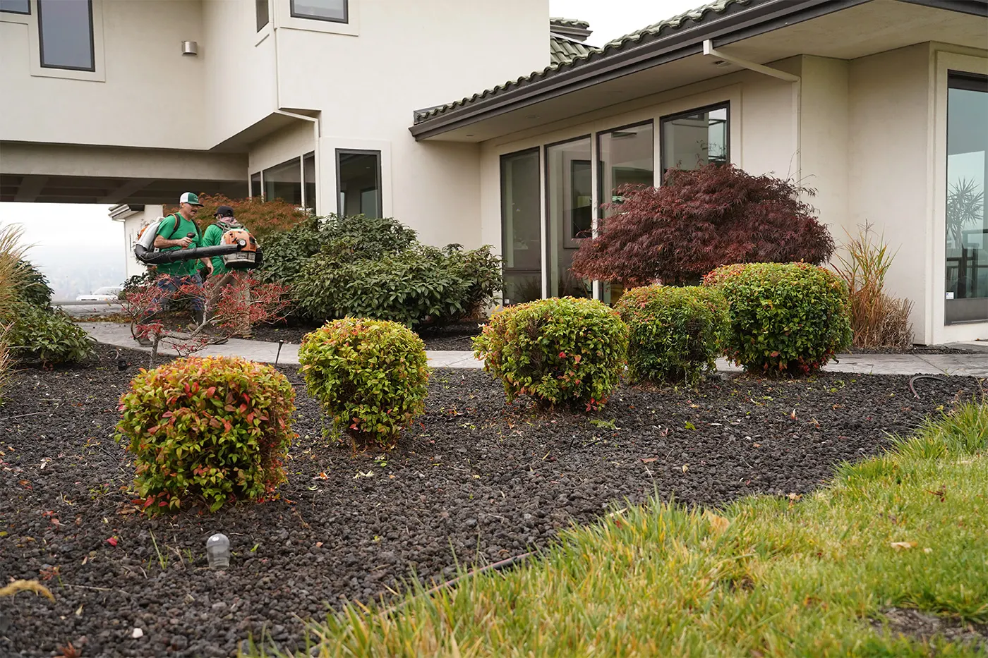 Landscape Maintenance Makeover